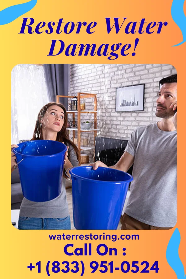 water restoration Vigilant Disaster Cleanup Brothers South Farmingdale
