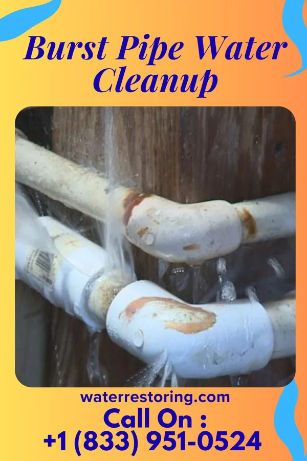 Burst Pipe Water Cleanup in South Farmingdale, NY