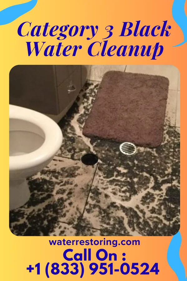 Category 3 Black Water Cleanup in South Farmingdale, NY