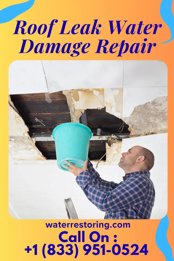 Roof Leak Water Damage Repair in South Farmingdale, NY