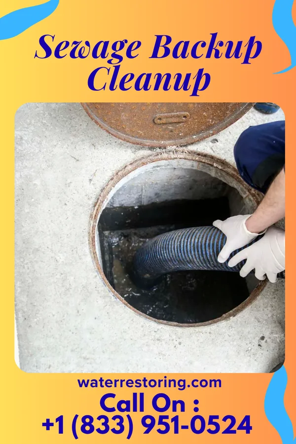 Sewage Backup Cleanup in South Farmingdale, NY