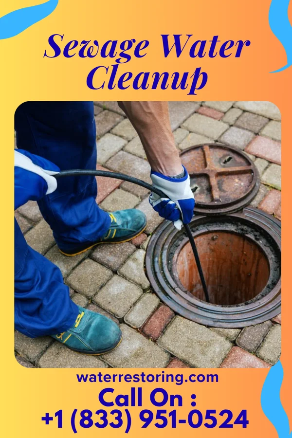 Sewage Water Cleanup in South Farmingdale, NY